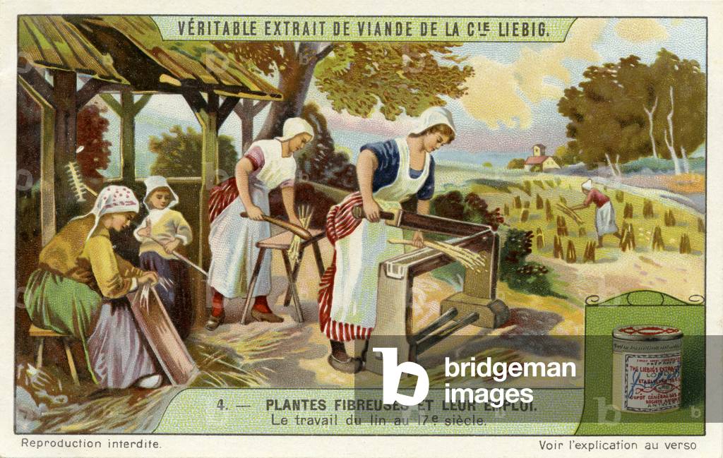 Harvesting and production of flax