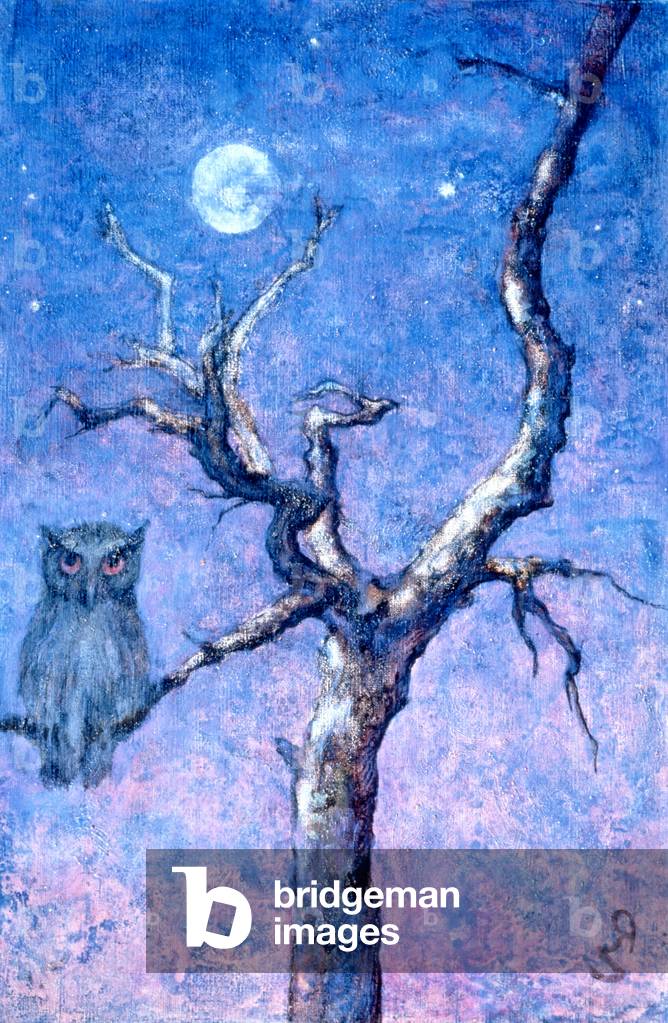 'Wintertime' by Zsuzsi Roboz