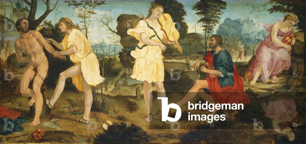 Apollo and Marsyas, c.1540 (oil on panel)