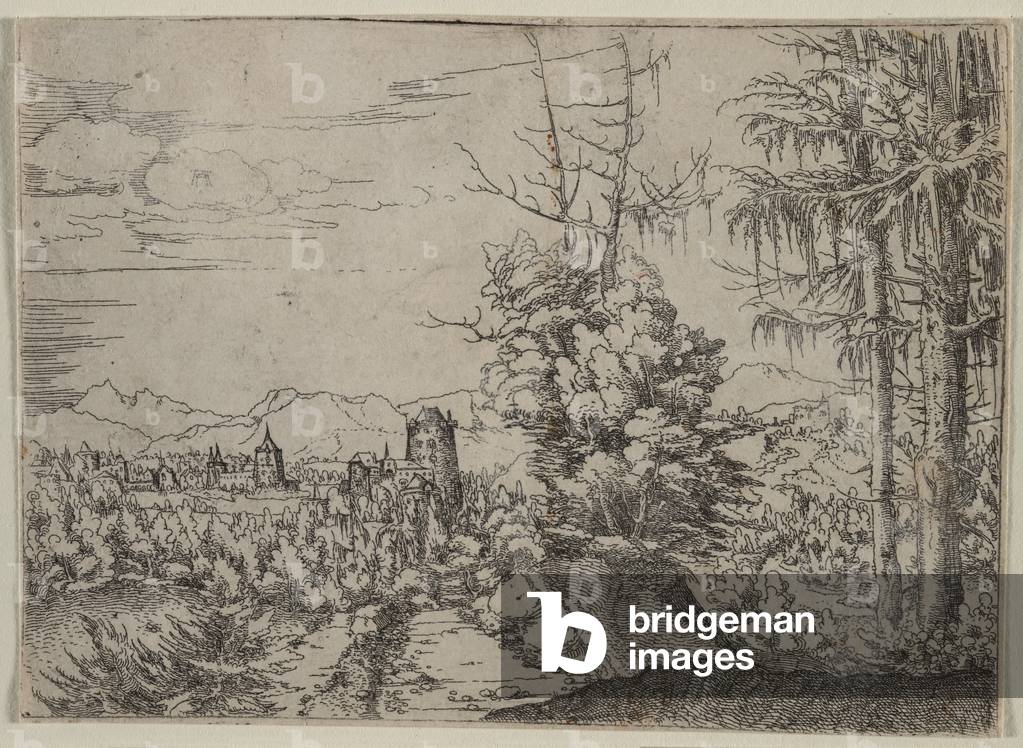 paesaggio con due pini, 1522-1525 (acquaforte)