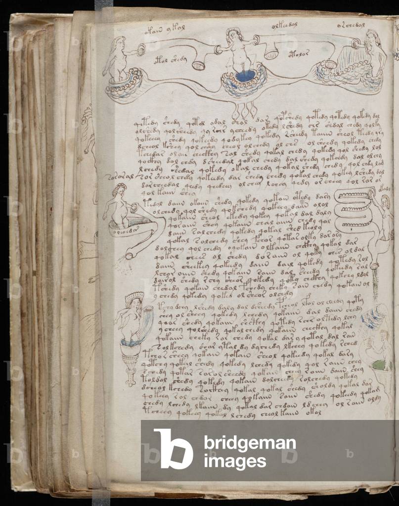 Voynich Manuscript folio 77v, c.1500 (ink on parchment)