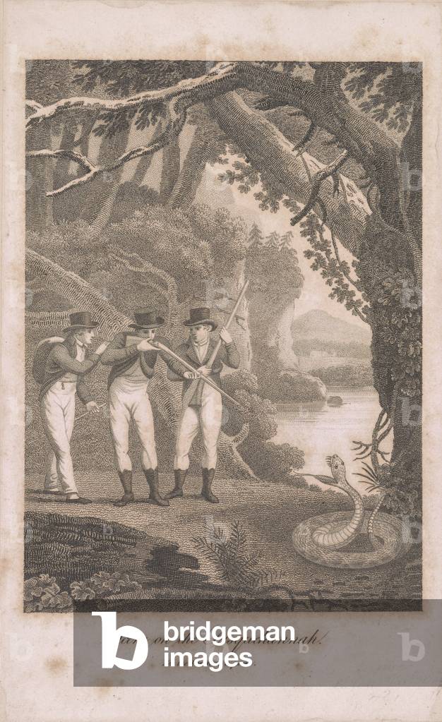 Alexander Wilson and companions on the Susquehanna, 1809 (etching) 
