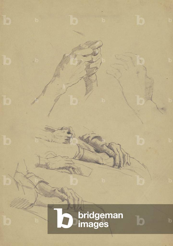 Six Studies of Hands, c.1870-90 (graphite and chalk on tan wove paper)