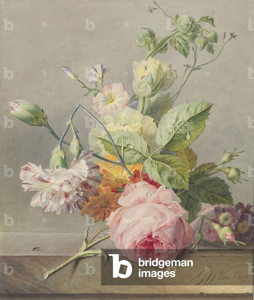 Floral Still Life, c.1800-25 (w/c and pencil on paper)