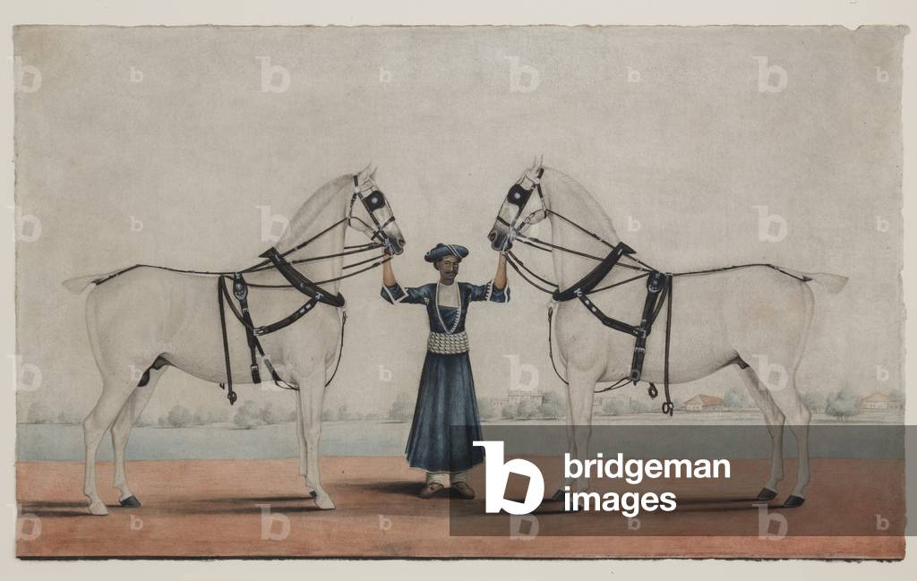 A Syce (Groom) Holding Two Carriage Horses, c.1845 (opaque w/c on paper)