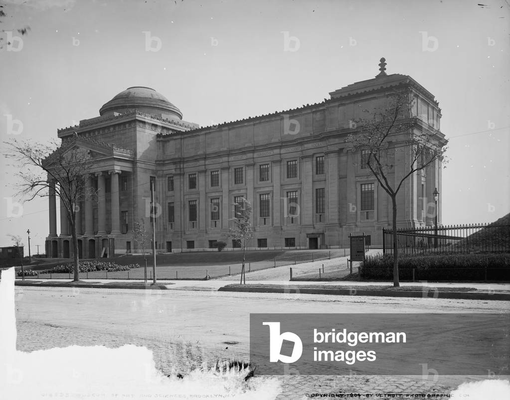 Museum of Art and Sciences, Brooklyn