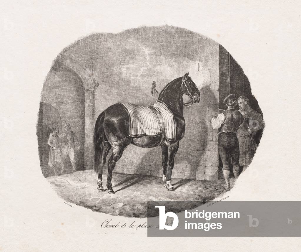 Cavallo della pianura di Caen, 1822 (litografia)