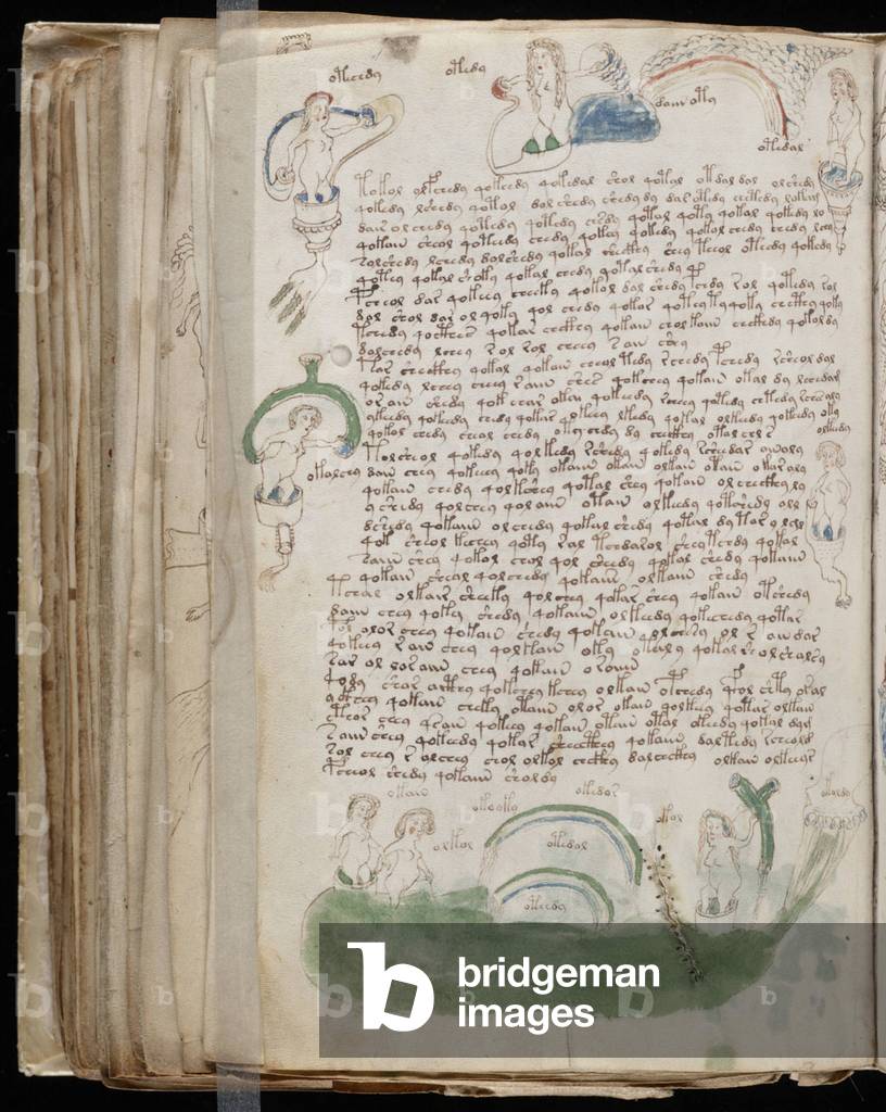 Voynich Manuscript folio 82v, c.1500 (ink on parchment)