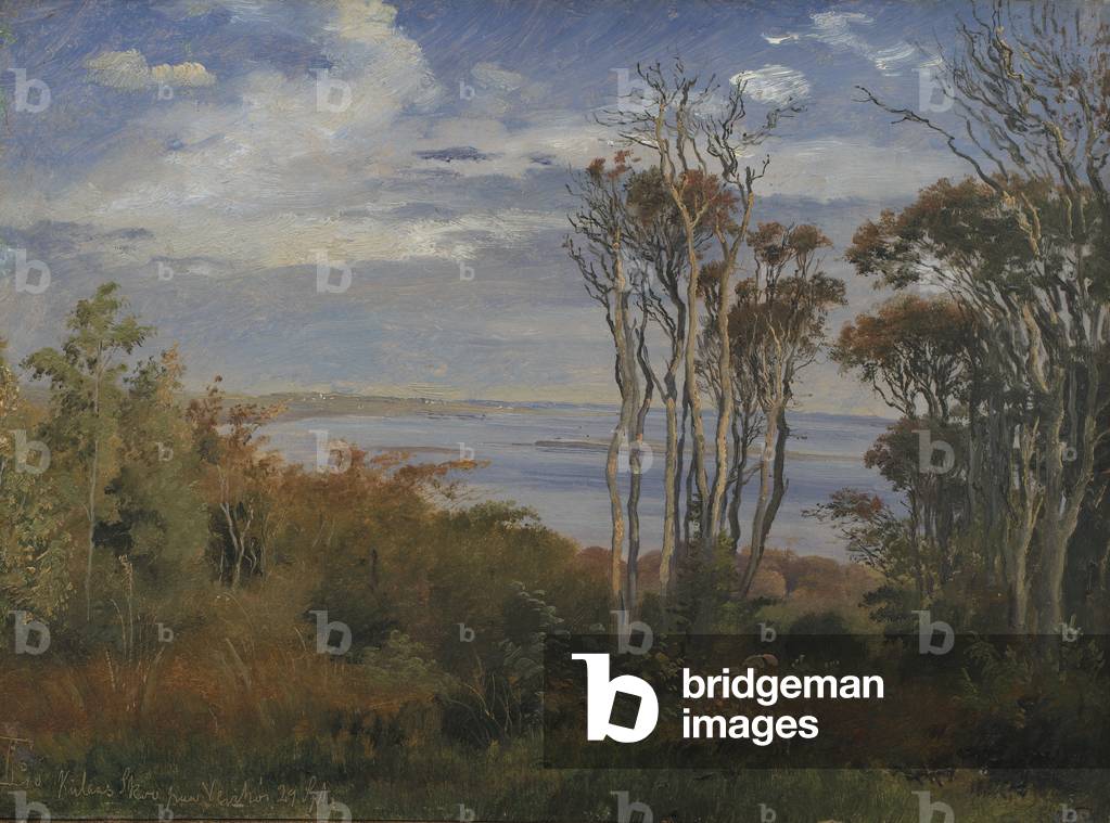 Kolås Wood. Vejrhøj, 1846 (oil on paper laid down on canvas)

