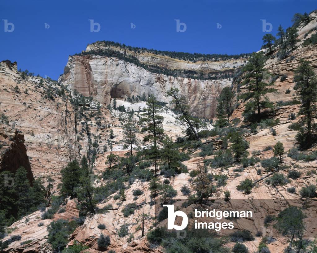 Zion National Park, Utah (photo)