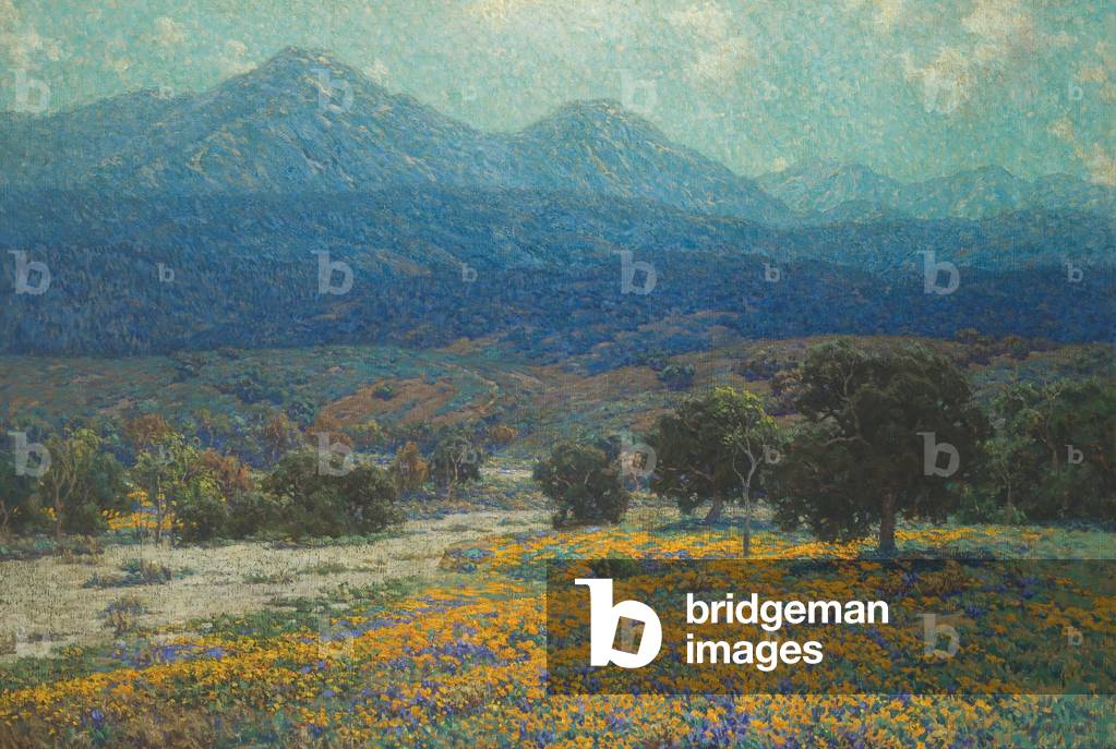 California Poppy Field, c.1926 (oil on canvas)