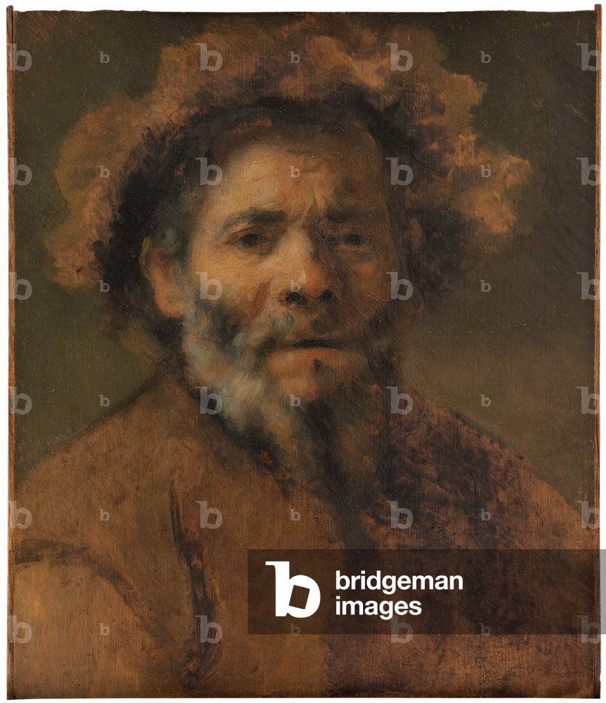 Study of an Old Man (oil on panel)