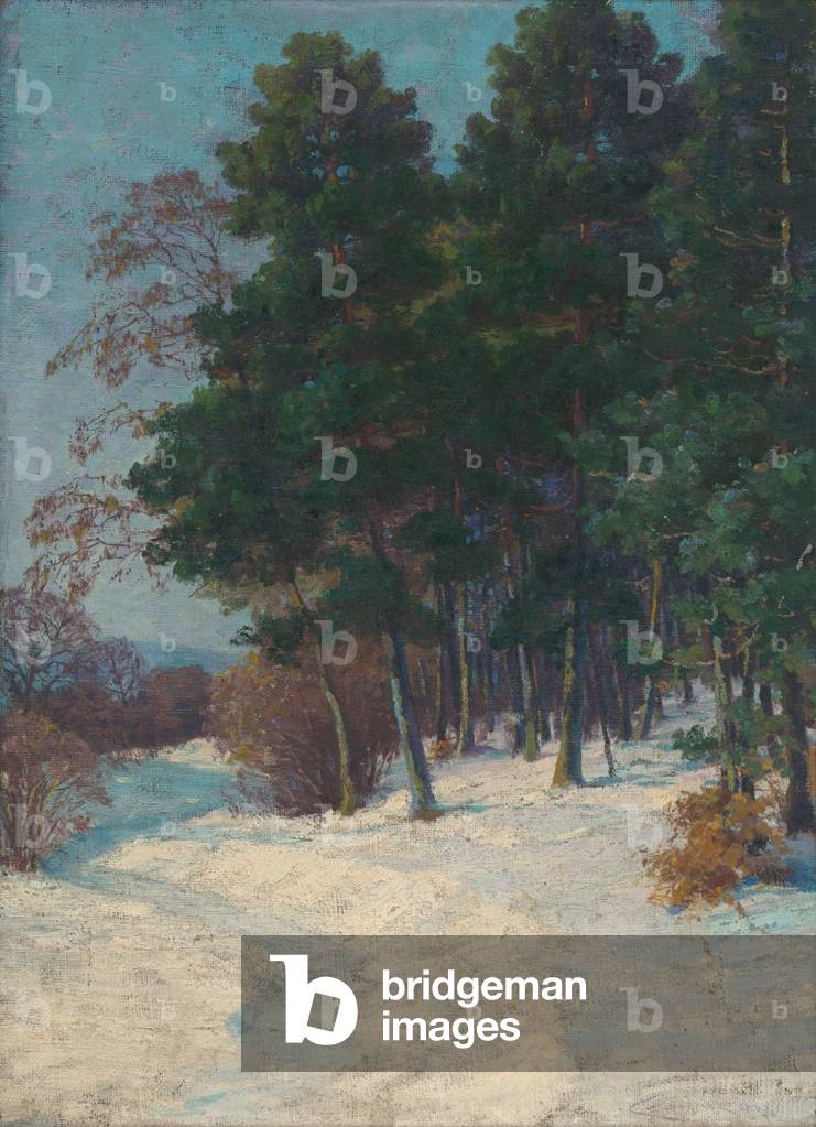 Forest in Winter, 1903 (oil on canvas)