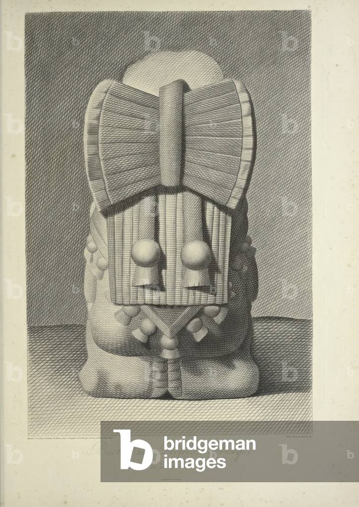 Bust of an Aztec Priestess, illustration from 'Vues des Cordillères et Monumens des Peuples Indigènes de l'Amérique' by Alexander von Humboldt and Aime Bonpland, 1813 (engraving)