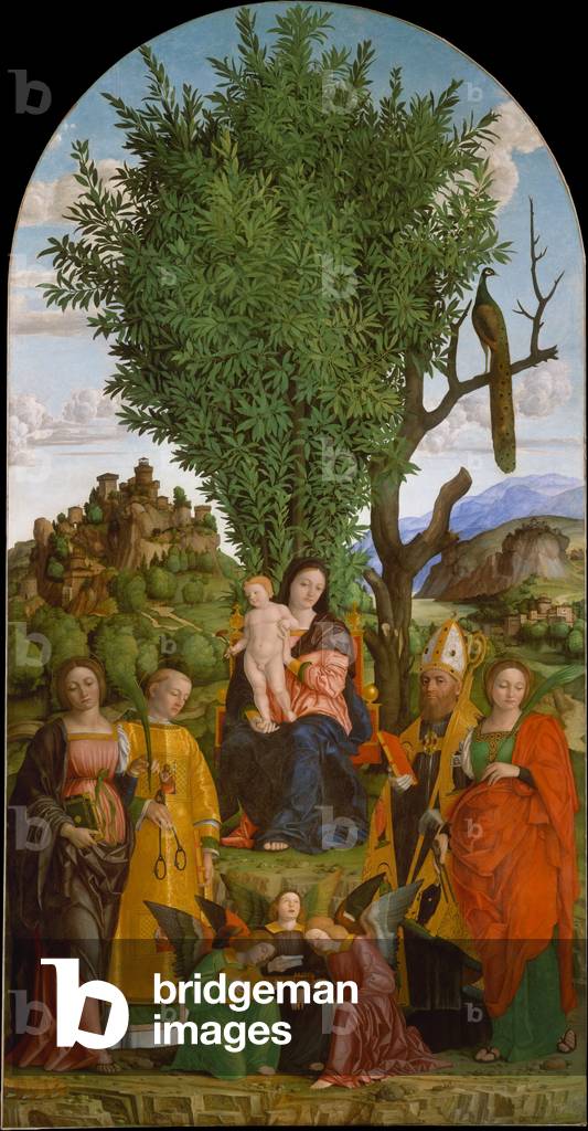 Madonna and Child with Saints, c.1520 (tempera and oil on canvas)