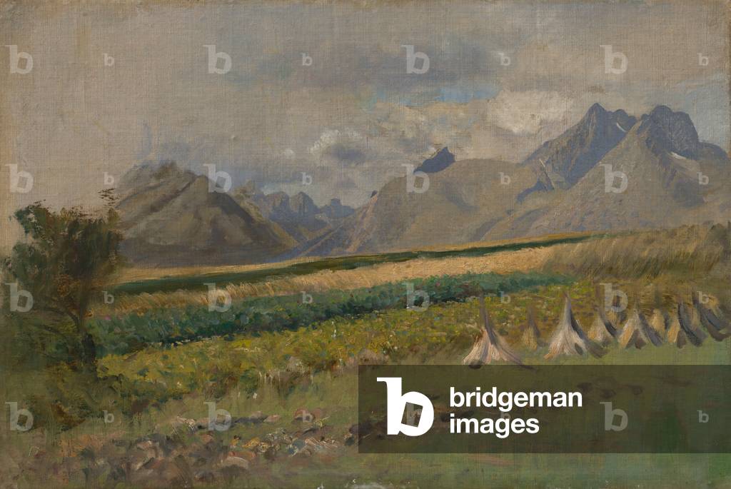 High Tatras from Strážky, 1878-80 (oil on cardboard)