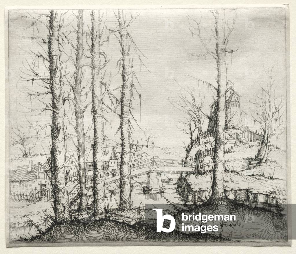 Paesaggio fluviale con cinque abeti rossi spogli in primo piano, 1549 (acquaforte)