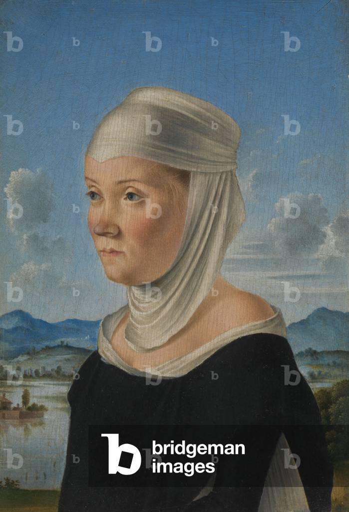 Portrait of a Woman, c.1485-95 (oil on wood)