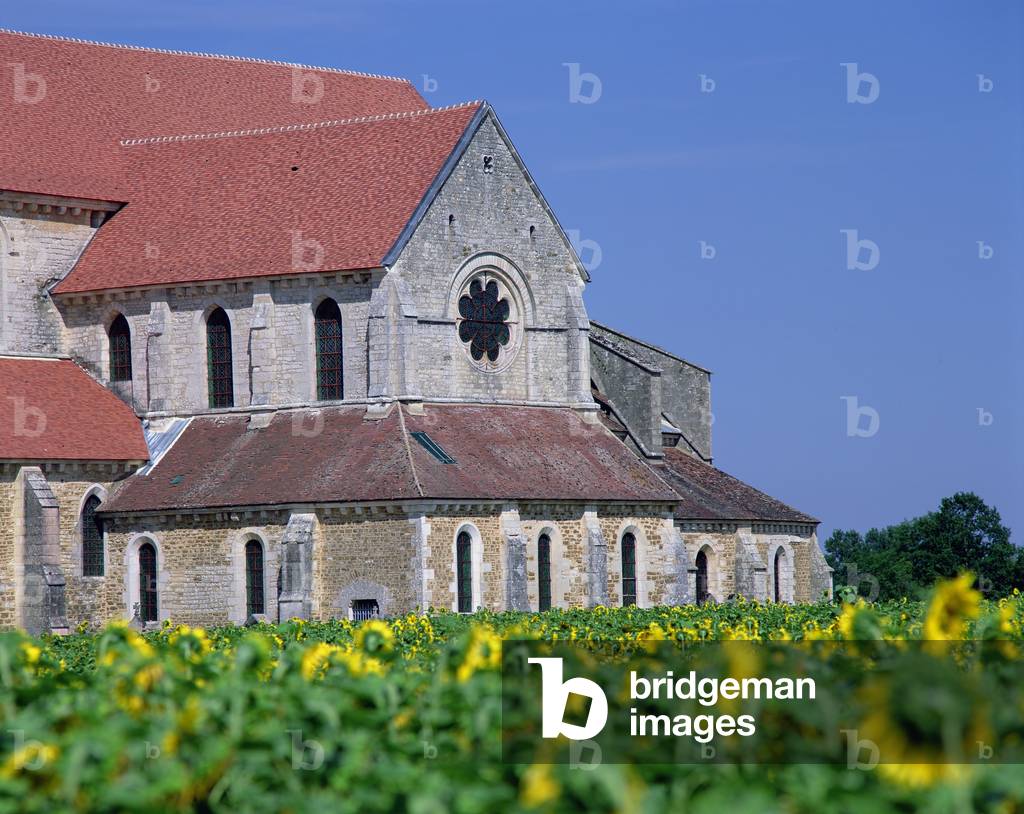 Pontigny Abbey (photo)