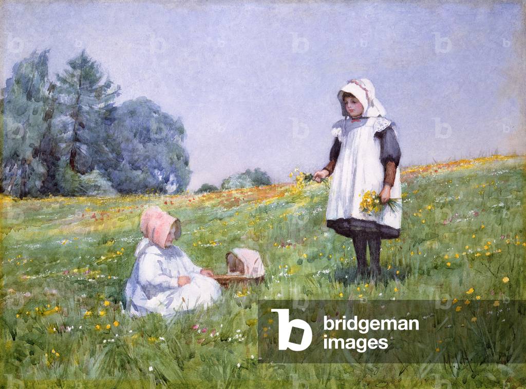 Papillons et marguerites (sans papier)