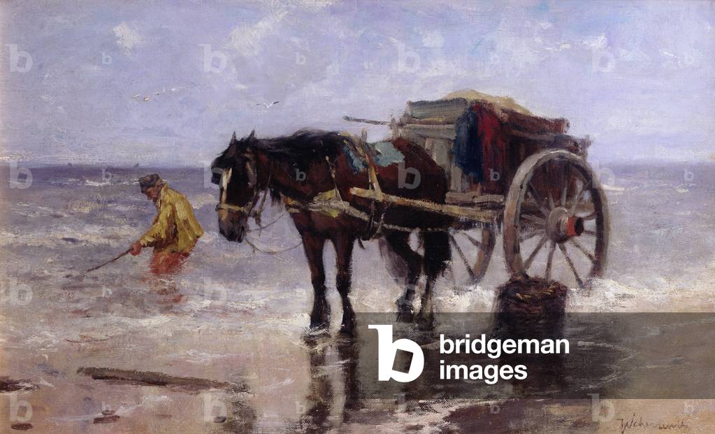 The Clam Gatherer (oil on canvas)