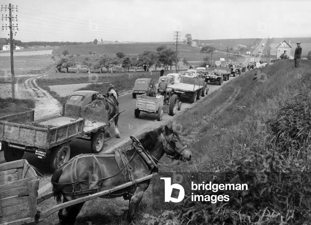 Farmer Claims Dams On The Roads Of France May 19, 1956 (b/w photo)