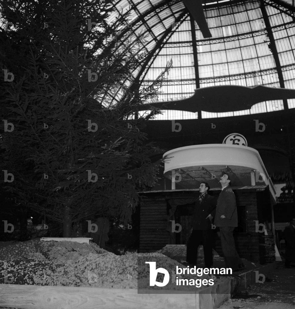 Preparations for childhood exhibition, Grand Palais, Paris, November 23, 1949 (b/w photo)