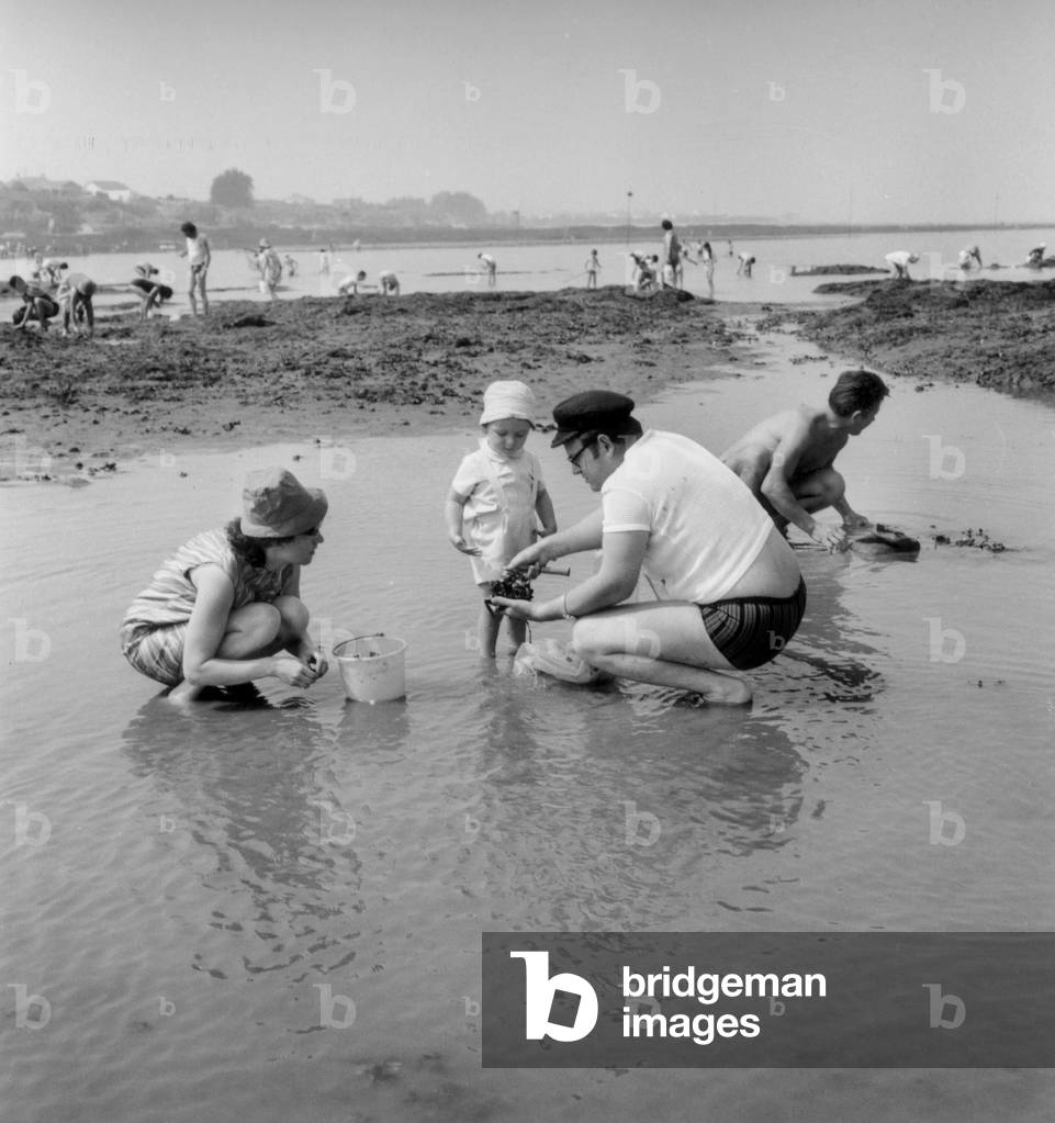 Holidays in Port-Giraud, France, August 6, 1970 : Mussel Gathering (b/w photo)