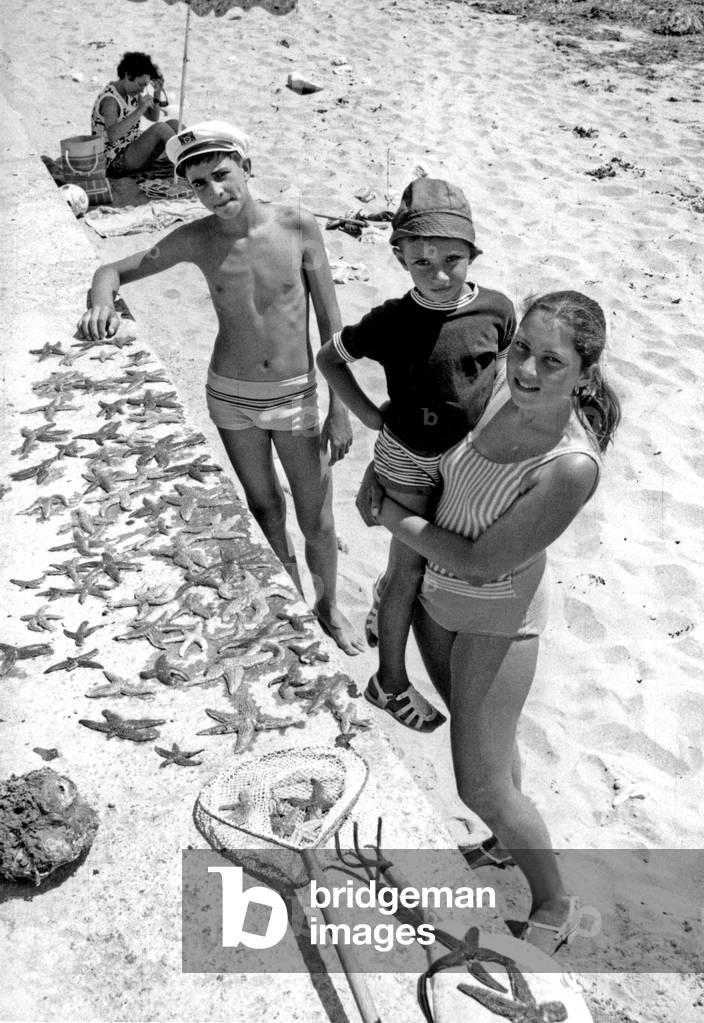 Children Have Collected Starfishes on The Beach in Olonne Sur Mer, France, August 28, 1972 (b/w photo)