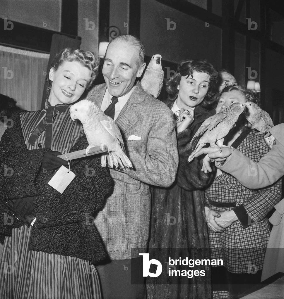 Parrots competition, Paris, February 24, 1951 for film 
