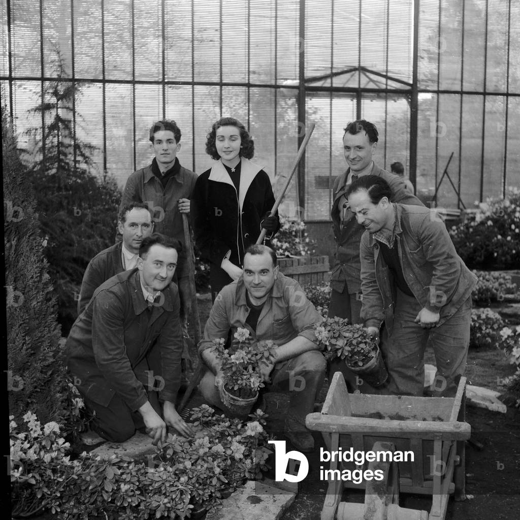 Floral Exhibition in Auteuil, 1952 (b/w photo)