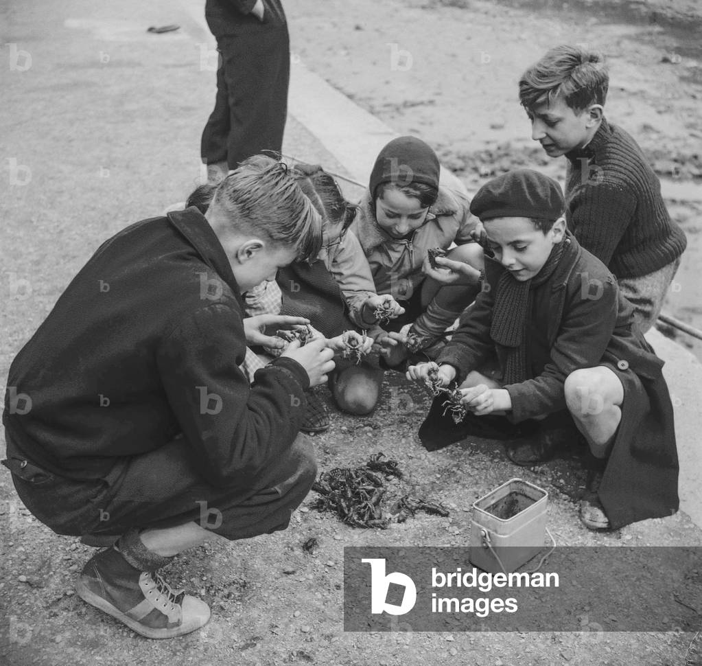 Cleaning of the Canal Saint Martin in Paris, 1950 : children have caught crawfishes (b/w photo)