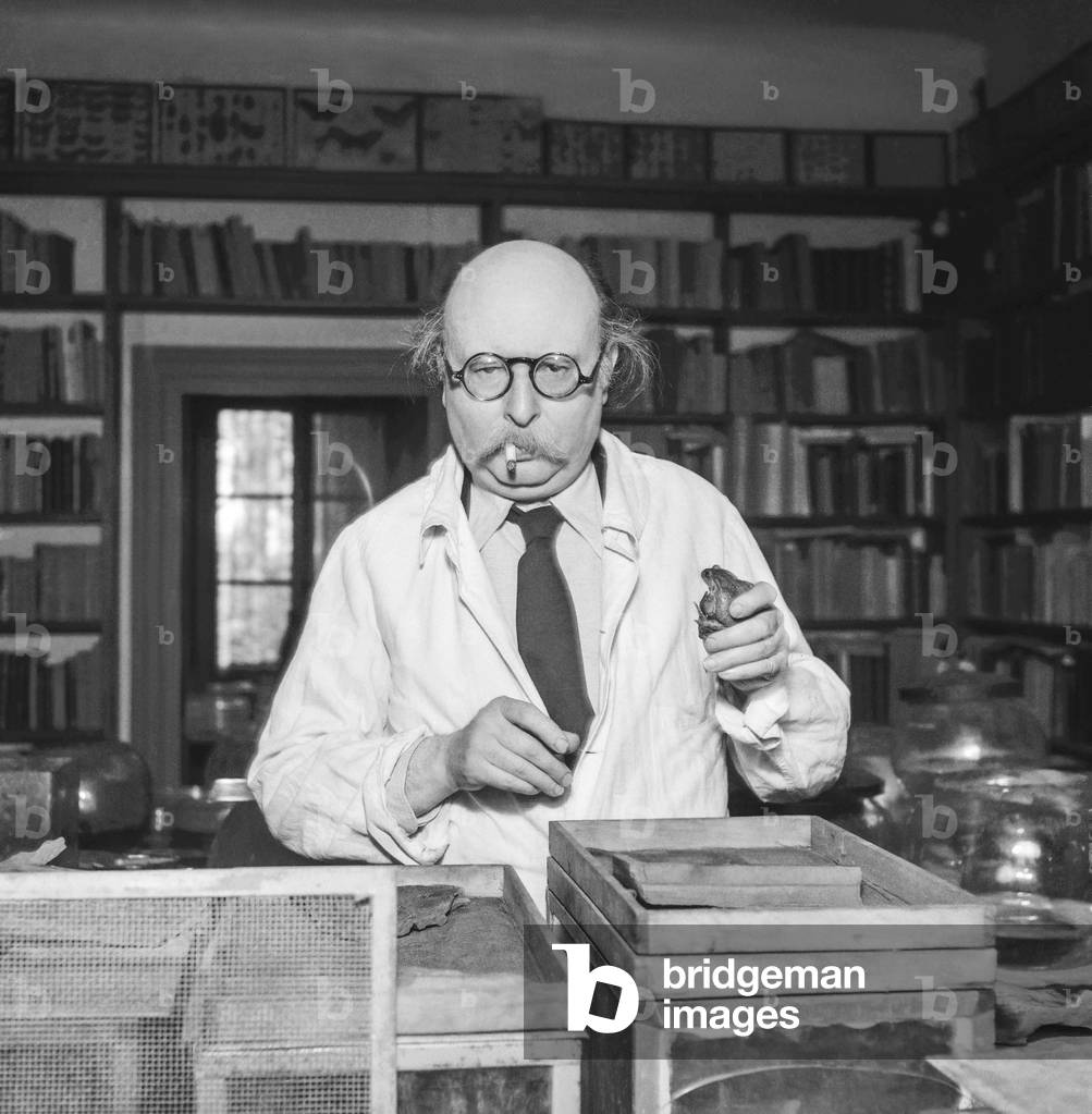 French writer Jean Rostand, April 17, 1951 (b/w photo)