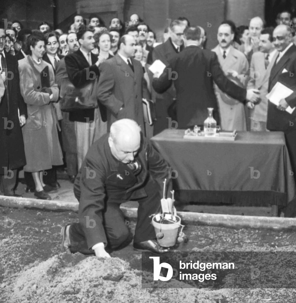 A cutting of the Tree of Hippocrates from Cos is planted at the Medecine School, Paris, April 6, 1951 (b/w photo)
