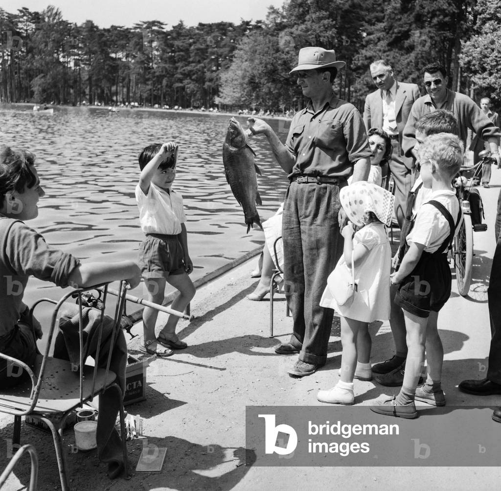 Heat at at the Bois de Boulogne
