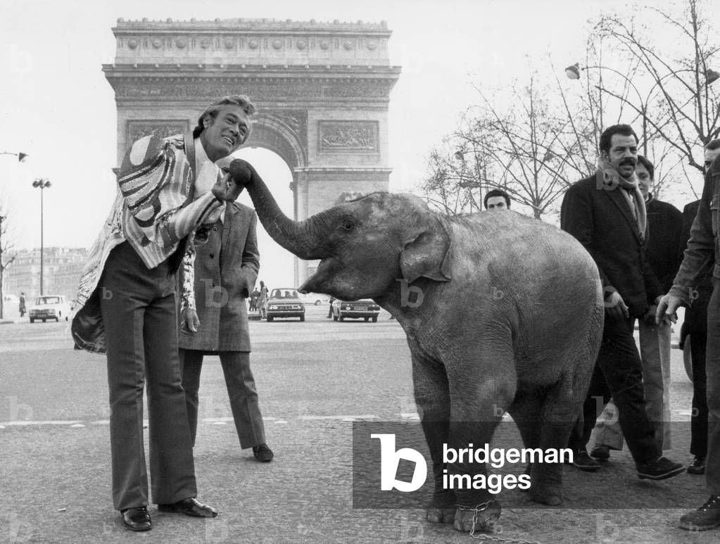 Roger Lanzac Who Kick Off A Set Of Festivities And Decorations Organize Avenue Of The Great Army On The Circus Theme Here With The Young Elephant Cinto Coming Directly From Thoiry On December 15, 1972 (b/w photo)