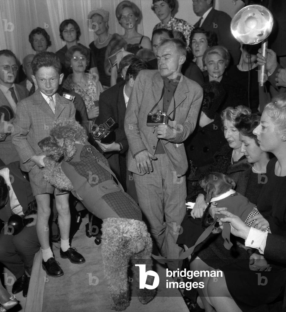 Fashion for dogs, Paris, October 16, 1960 : here a dog called 
