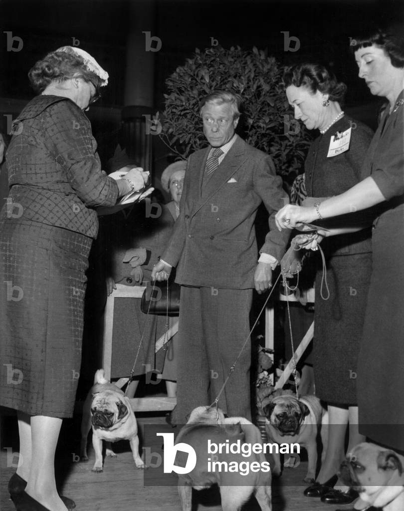 Duke Edward of Windsor (Former King Edwardviii) and his Wife Duchess of Windsor (Wallis Simpson) After Winning A Prize at Exhibition of Dogs November 30, 1956 (b/w photo)
