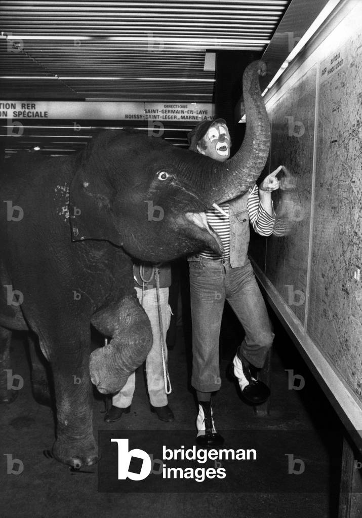 The elephant Kali with a clown in the subway in Paris to go to St Germain en Laye for opening of Medrano Circus, March 2, 1978 (b/w photo)