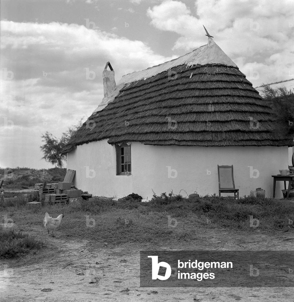 Gardian Shed in Camargue, France, in The 1950'S (b/w photo)