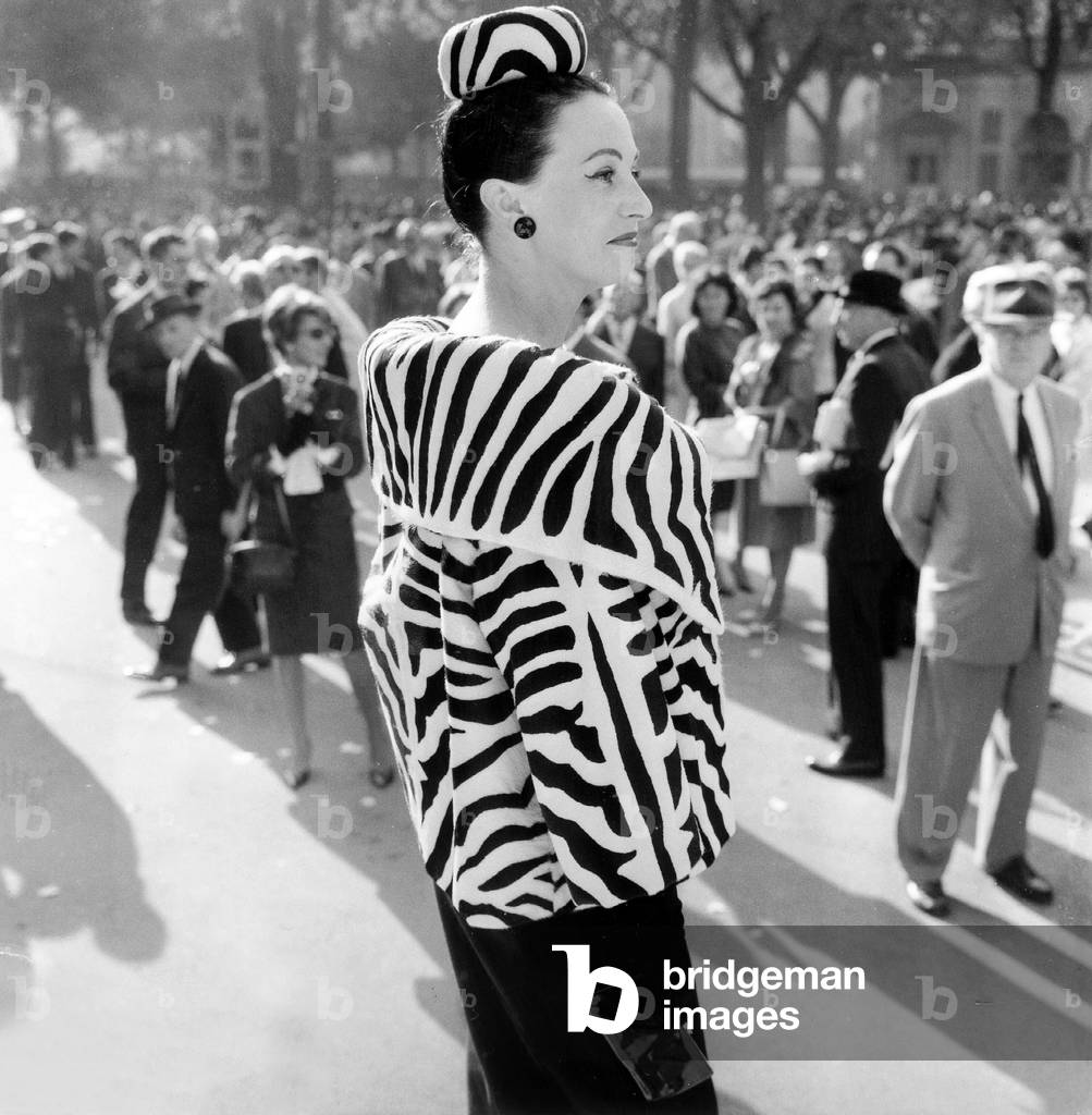 Horse Race Fashion : Woman Wearing Zebra Jacket during Longchamp Racing Octobre 07, 1962 (b/w photo)