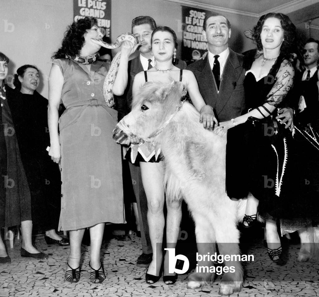 Achille Zavatta With Christiane Bage and her Python, Emma Figuiers and her Pony March 14, 1953  (b/w photo)