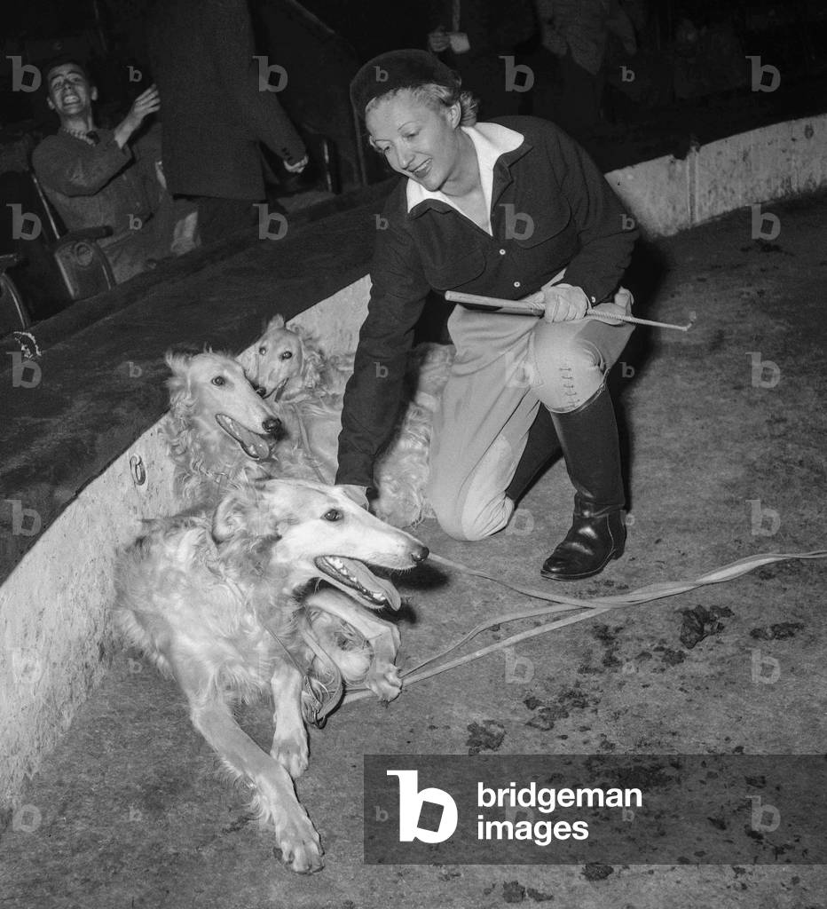 Rehearsal of the Gala of Union of Artists, Paris, March 16, 1950 : French actress Annie Ducaux with dogs (greyhound) (b/w photo)