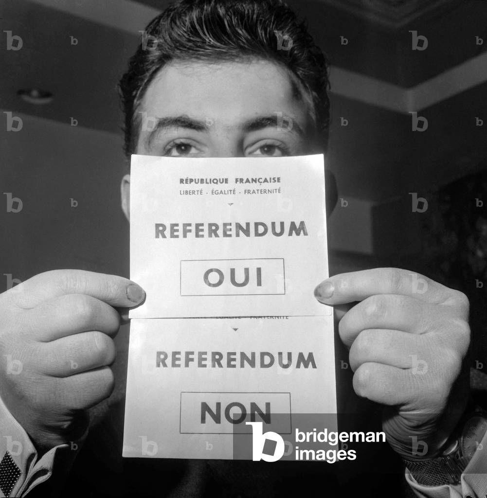 French referendum on Algerian self-determination (January 8, 1961) : the ballot papers (on December 11, 1960) (b/w photo)