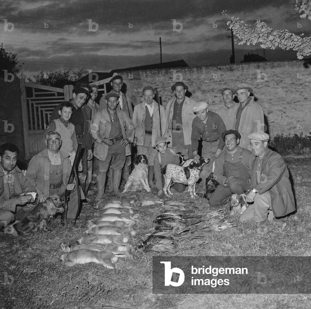 Open season for hunting in France, August 28, 1960 : hunters with dogs and game (b/w photo)