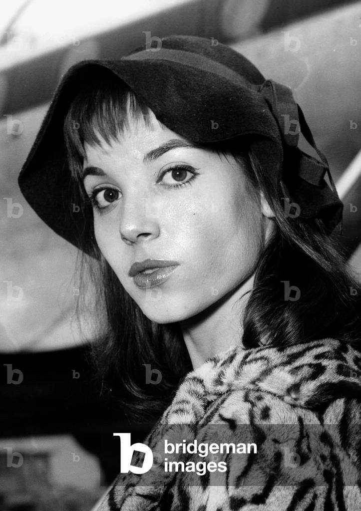 Italian Actress Elsa Martinelli November 26, 1957 (b/w photo)