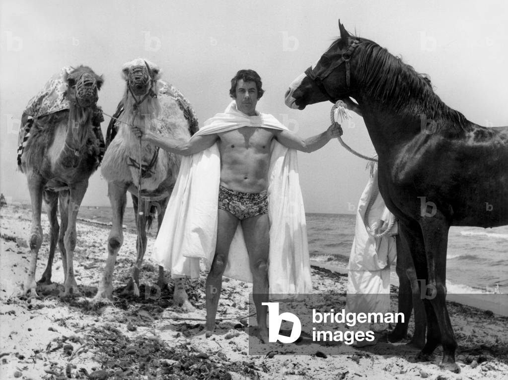 French Actor Philippe Nicaud on The Beach in Skanes, Tunisia, With Camels and Horses, June 21, 1974 (b/w photo)