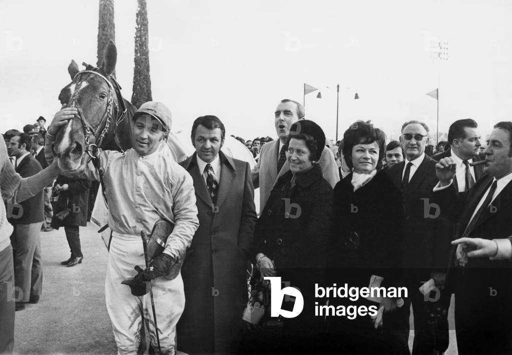Triumph For The Horse 