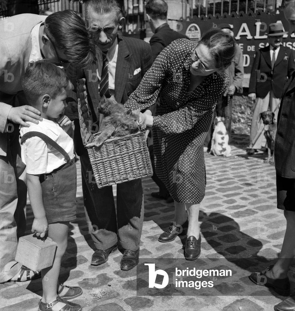 Dogs and cats market in Paris, April 22, 1949 (b/w photo)