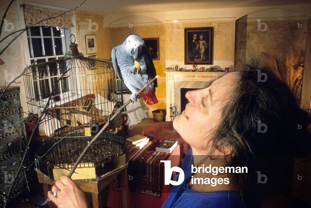 Germaine Greer Australian Feminist Writer, Author of 